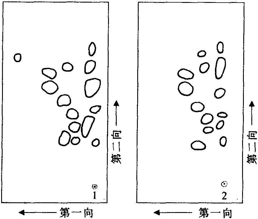 一、氨基酸和蛋白質(zhì)